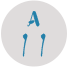 A11